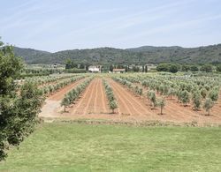 Agriturismo Terre di Castiglione Dış Mekan