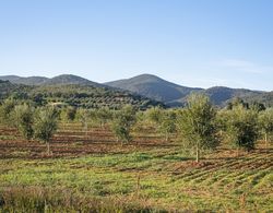 Agriturismo Terre di Castiglione Dış Mekan