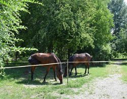 Agriturismo Tre Rondini Dış Mekan