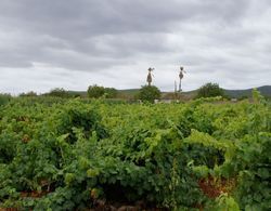 Agroturismo Sa Vinya d'en Palerm Dış Mekan