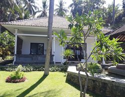 Agung Bali Nirwana Villas and Spa Dış Mekan