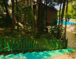 Ağva Orman Evleri ` Forest Lodge` Genel