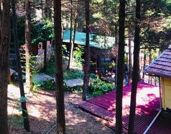 Ağva Orman Evleri ` Forest Lodge` Genel