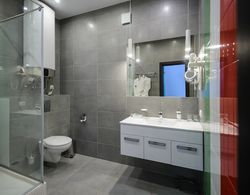 AHOTELS design style on Sovetskaya Banyo Tipleri