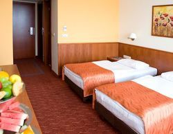 Airport Hotel Budapest Genel