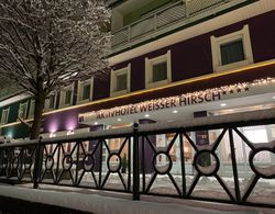 Aktivhotel Weißer Hirsch Dış Mekan