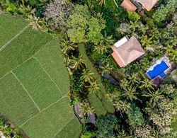 Alam Shanti Ubud Dış Mekan