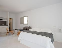 Albus Villas Santorini Prince Albus Suite With Private Plunge Pool Oda