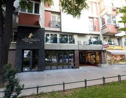 Alexandar II Hotel Skopje Genel