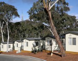 Alivio Tourist Park Canberra Genel