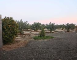 Almazham Farm House In Madin Saleh Alula Dış Mekan