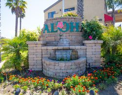 Aloha Inn Genel