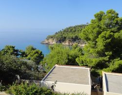 Alonissos Beach Bungalows & Suites Hotel Genel