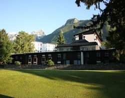Alp Hotel Dış Mekan