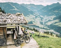 Alpbach Bergwald Genel