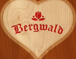 Alpbach Bergwald Genel