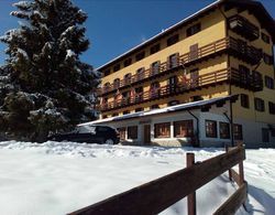 Hotel Alpe Cimbra Dış Mekan