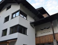 Alpen-Appartements Zürcher Dış Mekan