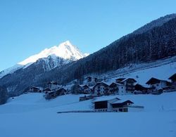 Alpen-Appartements Zürcher Dış Mekan