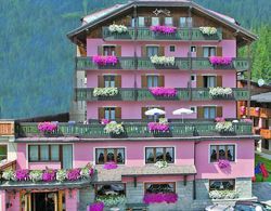 Alpen Hotel Vidi Öne Çıkan Resim
