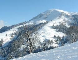 AlpenSchlössl in Söll/Tirol Genel