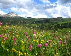 Alpine Hotel Ciasa Lara Dış Mekan