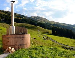 Alpine Premium Chalet Wallegg-Lodge Dış Mekan
