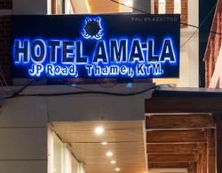 Hotel Ama-La, Thamel, Kathmandu Dış Mekan