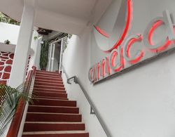 Hotel Amaca Puerto Vallarta - Adults Only Dış Mekan