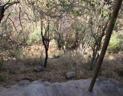 Amanzimlotzi Riverside Bush Camp Pure Wilderness in Limpopo, Kruger Park Dış Mekan