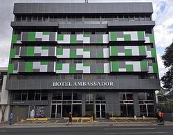 Hotel Ambassador Dış Mekan