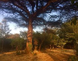 Amboseli Eco Camp Dış Mekan