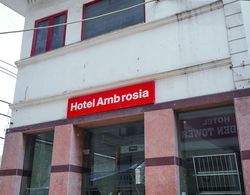 Hotel Ambrosia Dış Mekan