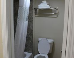 American Inn & Suites Banyo Tipleri