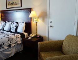 Americas Best Inn & Suites Arlington, Tx Genel