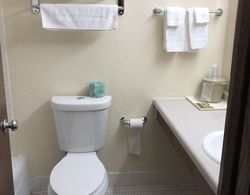 AmeriVu Inn & Suites Banyo Tipleri