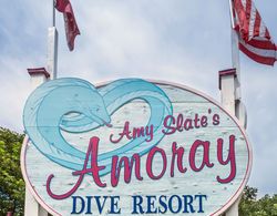 Amy Slate's Amoray Dive Resort Genel