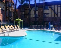 Anaheim Majestic Garden Hotel Havuz