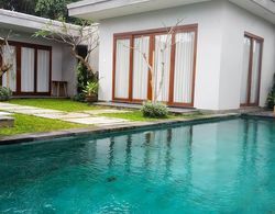 Anggira Villa Ubud Dış Mekan