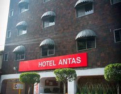 Hotel Antas Dış Mekan