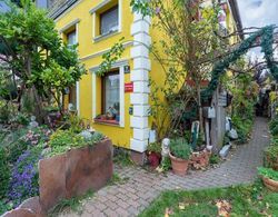 Antique Apartment in Wismar Mecklenburg With Garden Dış Mekan