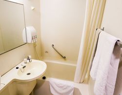 APA Hotel Ishigakijima Banyo Tipleri