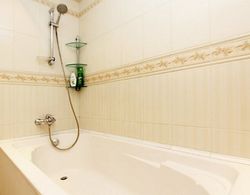 ApartLux Akademicheskaya Banyo Tipleri