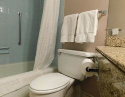 Apm Inn & Suites Banyo Tipleri