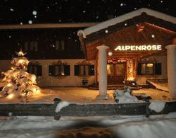 Appartementhaus Alpenrose Dış Mekan