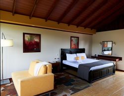 Arenal Roca Lodge Oda Manzaraları