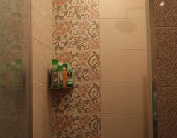 Arendagrad Apartments Oktyabrskoy Revol Banyo Tipleri