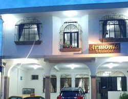 Hotel Armonía Hostal Dış Mekan