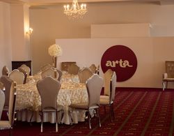 Arta Hotel Timisoara Genel