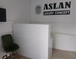 Aslan Luxury Concept Genel